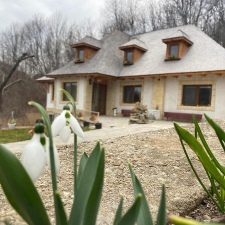 Villa Casa Cu Sindrila Vălenii de Munte Esterno foto