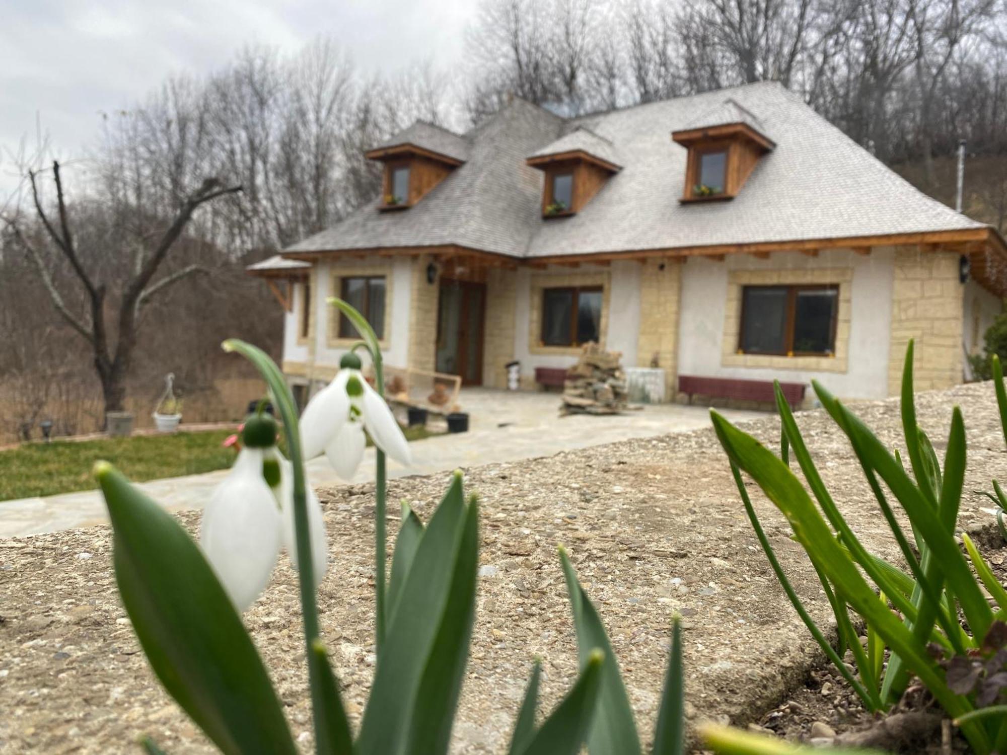 Villa Casa Cu Sindrila Vălenii de Munte Esterno foto