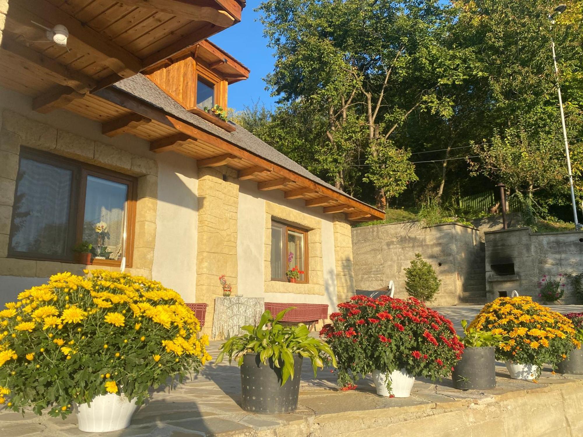 Villa Casa Cu Sindrila Vălenii de Munte Esterno foto