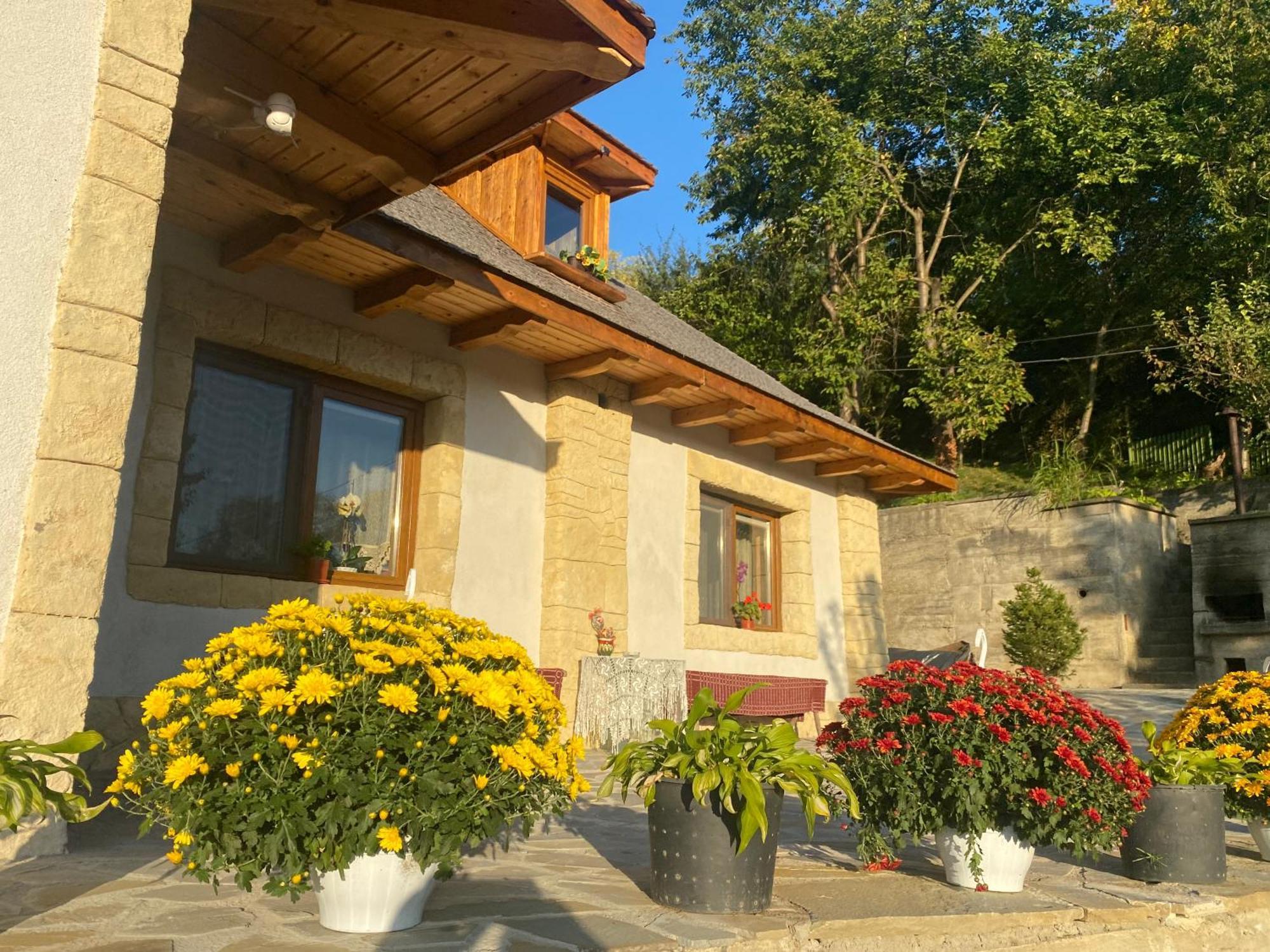 Villa Casa Cu Sindrila Vălenii de Munte Esterno foto