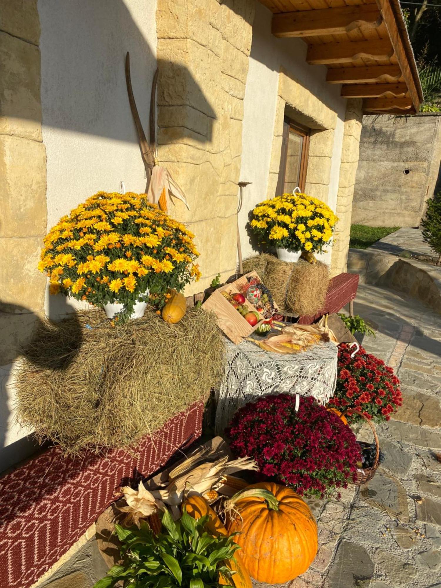 Villa Casa Cu Sindrila Vălenii de Munte Esterno foto